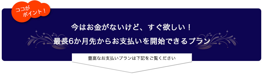 今はお金がないけど、すぐ欲しい！最長6か月先からお支払いを開始できるプラン